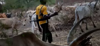 One Killed as Suspected Armed Herders Attack Benue Community