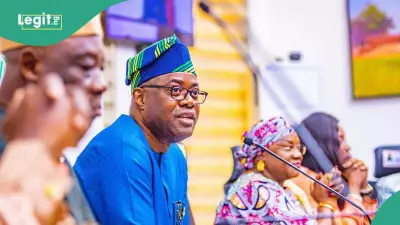 Oyo State Government Warns Against Roadside Sale of Cows and Rams for Eid al-Adha