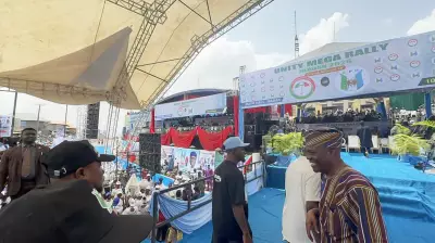 PDP, APM Alliance Seeks Stronger Opposition Front Ahead of 2027 Elections