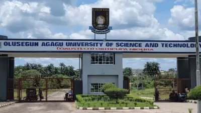 Prof. Osezua to Deliver 11th OAUSTECH Inaugural Lecture Today