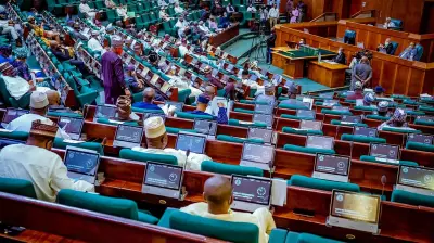 Reps Urge FG to Halt Business Permits for S'African Firms Over Xenophobia