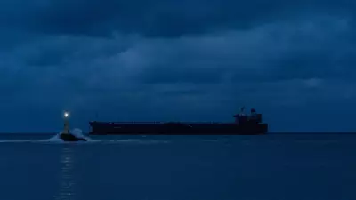 Russian drone hits Chinese cargo ship in Black Sea near Odesa