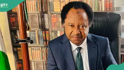 Shehu Sani Reveals How He Won APC Kaduna Central Senatorial Ticket