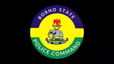 Six Insurgents Killed in Accidental Bomb Blast in Borno State