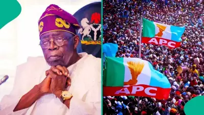 Tinubu Urges Unity as APC Primaries Begin: 'Not Do-or-Die'