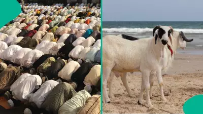 UAE Sets Official Qurbani Prices for Eid Al Adha 2026 Ahead of Celebrations