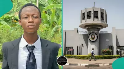 UI Engineering Student Reveals JAMB, Post-UTME Scores for Admission Success