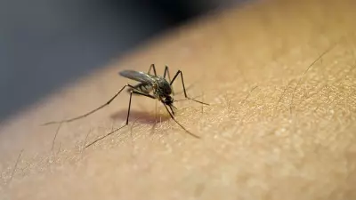 US Commits $8 Million to Malaria Fight in Akwa Ibom State