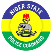 13-Year-Old Boy Arrested for Raping 4-Year-Old Girl in Niger State