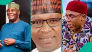 ADC Chieftain Backs Amaechi, Calls Primary a 'Shameless Auction'
