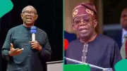 APC Chieftain Nlemigbo Urges Igbo Voters to Back Tinubu in 2027
