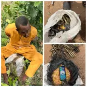 Army Nabs Terrorist Courier with 500 Rounds Hidden in Maize Bag in Kogi