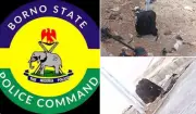 Borno Police Recover IED in Abandoned Bag in Maiduguri