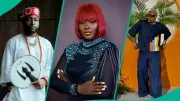 Buchi, Do2dtun, Davido: Celebrities Who Fought for Child Custody