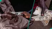 CBN, GTBank Update Dollar Exchange Rates as Naira Strengthens Further