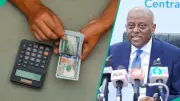 CBN Says Naira Stability Market-Driven, Not Artificially Propped Up