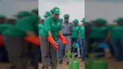 COWA Launches Mass Tree Planting in Imo to Combat Global Warming