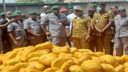 Customs Seize N6.7bn Ghana Loud, Smash Smuggling Ring in Ogun