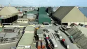 Dangote Partners Niger State to Boost Industrialisation and Create Jobs