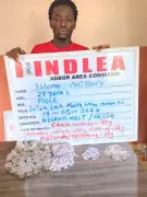 Delta Drug Suspect Blames Hardship, Begs Forgiveness After Arrest