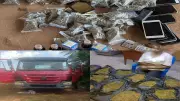 Delta Police Arrest 23 Suspects in Major Crime Crackdown