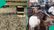 Eid Al Adha 2026: Date, Significance, Rituals, and Global Celebrations