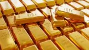 Ex-CIA Official Arrested After FBI Finds $40M in Gold Bars at Home