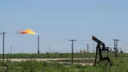 FG Commits to Accelerate Gas Infrastructure Development Across Nigeria