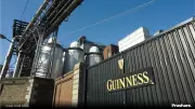 Guinness Nigeria's operational philosophy based on four key pillars
