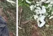 Gunmen kill two youths in fresh Plateau attack, BYM condemns
