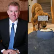 Houston Attorney Charged with Bestiality for Alleged Sexual Act with Family Dog