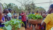 How Neglect Is Undermining Nigeria's Food Security System