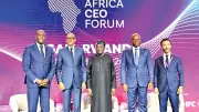 IFC Plans Major Investments in Nigeria's Livestock, Energy, Housing Sectors