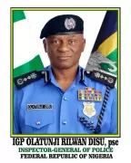 IGP: 2,000 Police Stations Inadequate for 200 Million Nigerians