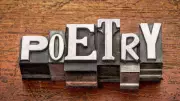 Kola Eke's Poetry as Equipment for Living Nigerians: A Review