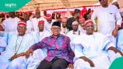 Kwankwaso's NDC Defection Tears Kano Supporters Apart: 'We're Tired' vs 'We'll Follow Him'