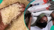 Local Rice Hits N112,000 Per 50kg Bag as Food Prices Soar Across Nigeria