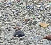 Man with gunshot wounds found floating in Lagos Lagoon