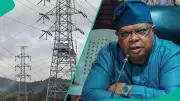 Minister Tegbe Denies Promising to Fix Nigeria Power Grid in 3 Months