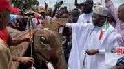 Muhammed Abdullahi Wins PDP Ticket for Kogi East Senatorial District in 2027