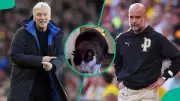 Mysterious Cat Predicts Everton vs Man City Result in Premier League Title Race