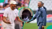 Mysterious Cat Predicts PSG Will Join Arsenal in Champions League Final