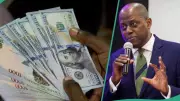 Naira Breaks 3-Year April Curse, Gains Against Dollar in Surprise Turnaround