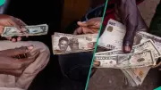 Naira Depreciates by N3.15 Against US Dollar in Official Market