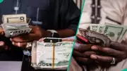 Naira Falls Against Dollar in Official Market, Gains on Pound and Euro
