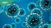 NCDC Lists 7 Steps Nigerians Must Take to Avoid Hantavirus Amid Global Outbreak