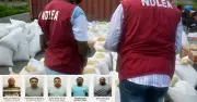 NDLEA Busts Nigerian-Mexican Drug Cartel, Seizes N480 Billion Meth in Ogun Forest