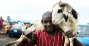 Nigeria Declares 2-Day Public Holiday for Eid al-Kabir 2026