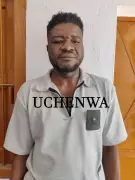 Nigerian Arrested in India for Cyber Fraud Using Fake UK, US Profiles