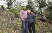 Nigerian Doctor and Wife Fined $1M for Cutting 38 Protected Trees in Oakland